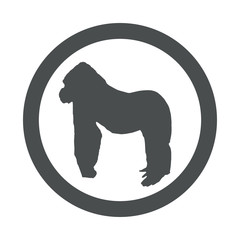 Obraz premium Fauna africana. Silueta gorila en círculo color gris
