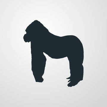 Fauna africana. Silueta gorila en fondo gris