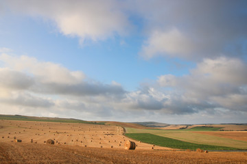 Fototapeta na wymiar champs devant la Manche dans le nord de la france 