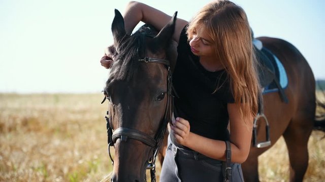 Young female jockey stands with her horse in the field at sunny daytime.