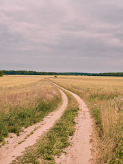 country road in the field. summer