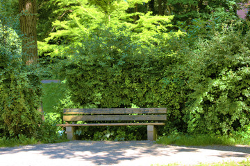 Grüner Park in Augsburg in Deutschland 4.7.2020