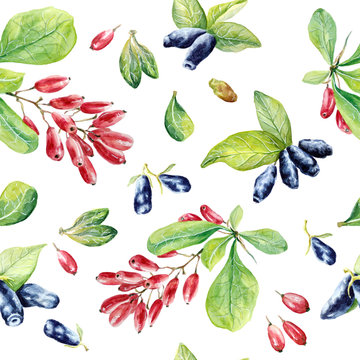 Seamless Pattern Of Berries Barberry And Honeysuckle Watercolor