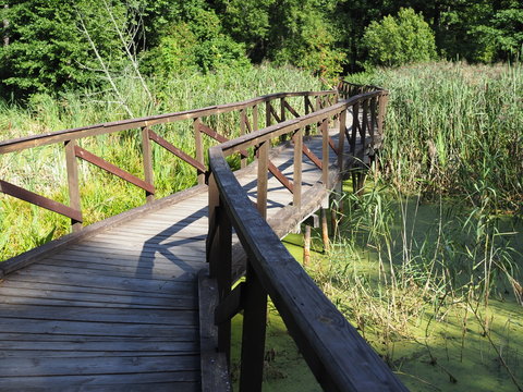 Wooden bridge trough the forest in a nature park. The concept of ecotourism