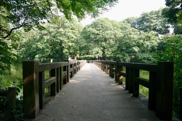 Fototapeta na wymiar 井の頭公園の橋