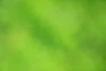 Fototapeta na wymiar abstract green summer bokeh background, gradient view art texture glow