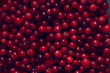 texture cranberries red berries fresh northern vitamins abstract background