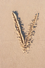 V - Alphabet letter written on sand