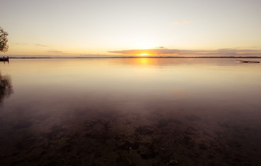 Fototapeta na wymiar Sonnenaufgang am See bei ruhigen Gewässer mit Treibholz