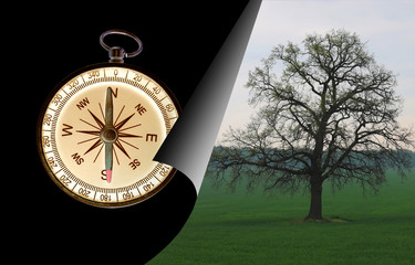 Abstract photo with lonely tree and with tourist classic compass as symbol of tourism with compass,...