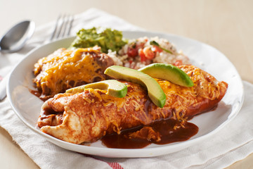 mexican wet burrtio platter with red enchilada sauce, refried beans, rice and gaucamole - obrazy, fototapety, plakaty