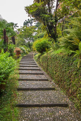 View of garden in Cadenabbia. Italy