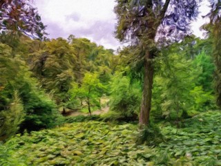 Oil paintings summer landscape, forest in the morning. Fine art
