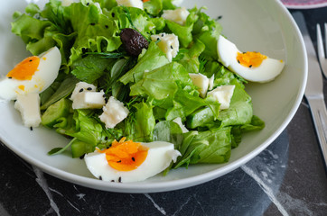 Fresh vegetable salad
