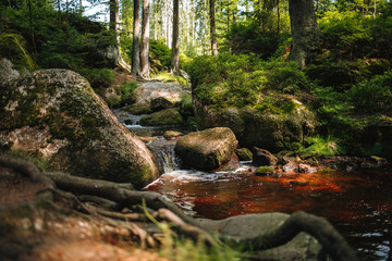 water of the river Weißer Main flows through a creek bed with stones in the Fichtelgebirge