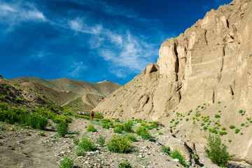 Fototapeta na wymiar Traveller on the trekking on Markha valley trek route in Ladakh, Karakorum panorama. This region is a purpose of motorcycle expeditions