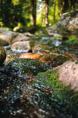 water of the river Weißer Main flows through a creek bed with stones in the Fichtelgebirge
