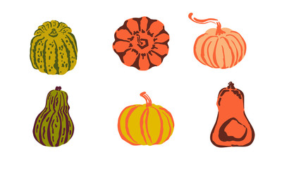 Set of vector colourful pumpkin perfect for thanksgiving or Halloween design. 