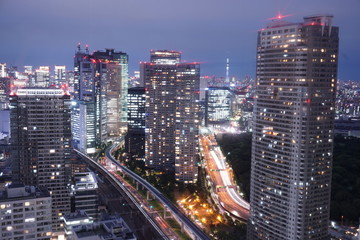 Obraz na płótnie Canvas Cityscape of Tokyo city skyline at night in Japan