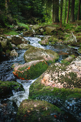 water of the river Weißer Main flows through a creek bed with stones in the Fichtelgebirge