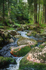 water of the river Weißer Main flows through a creek bed with stones in the Fichtelgebirge