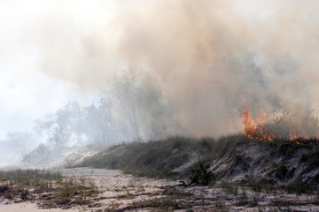 Australia bushfires in summer fire season