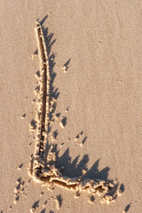 L - Alphabet letter written on sand 