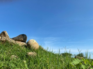 stones on the grass