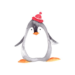 Hand painted watercolor cute Christmas penguin in knitted red hat. Christmas winter character for postcard isolated on white background.