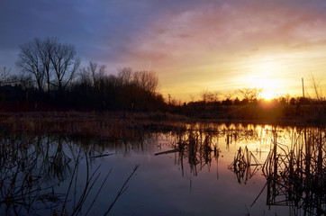 Sunset marsh