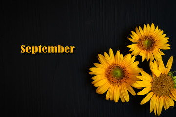 yellow sunflower flower on a dark background with the text September