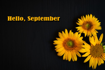 yellow sunflower flower on a dark background with the text September
