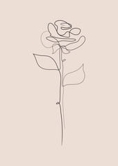 Rose one line wall print. Abstract flower poster. Floral sketch art in pastel color.
