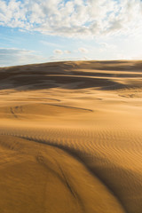 Fototapeta na wymiar Golden light on the sand dune surface.