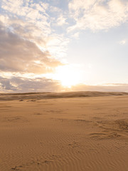 Fototapeta na wymiar Sunset view on the empty desert.