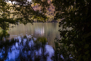 Lake in green Forest Italy