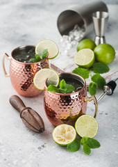 Moscow mule cocktail in a copper mug with lime and mint and wooden squeezer on light background with steel shaker and jigger