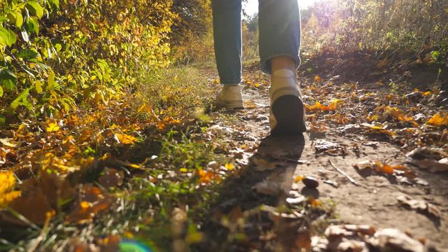 Low view of female feet in sneakers steps along path near forest. Legs of young woman goes among trail at early autumn. Girl walks at wild nature at sunny day. Close up Slow motion