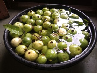 fresh green guava