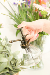 観葉植物に水をやる手元
