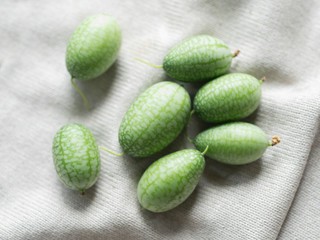 きゅうりメロン