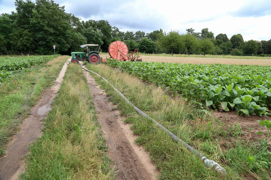 Agricultural machinery in the fields for irrigation of plantations