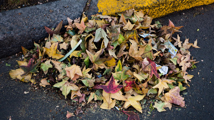 Leaves pile in the street, autumn in the city, cleaning the streets, abstract on the asphalt