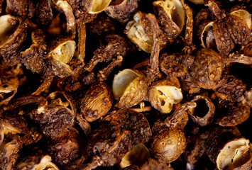 super macro shot food background of Indonesian andaliman wild pepper berry shell isolated very close in detail on black