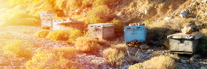 bee hives in a mountainous area at dusk. banner. flare