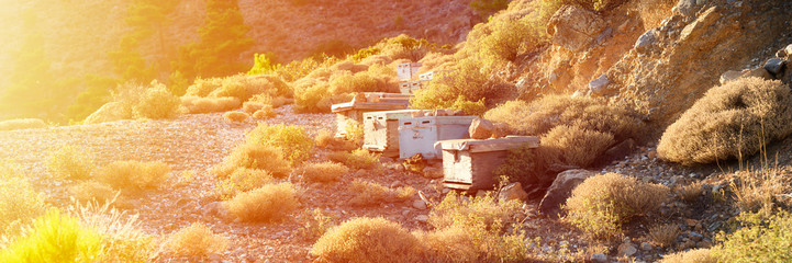 bee hives in a mountainous area at dusk. banner. flare