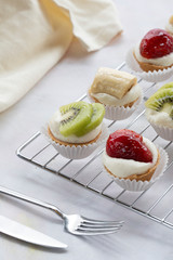 tartolet on a white background