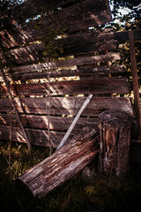 Fototapeta premium old wooden fence and logs
