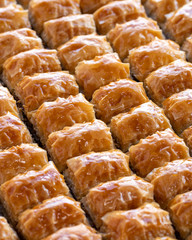 Baklava with walnut standing on the tray