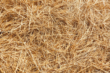 Mown hay. Autumnal, seasonal background, backdrop